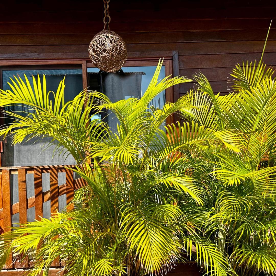 Ecoco Holbox - Ecochic - Cabanas De Madera - Holbox Retreat Eksteriør billede
