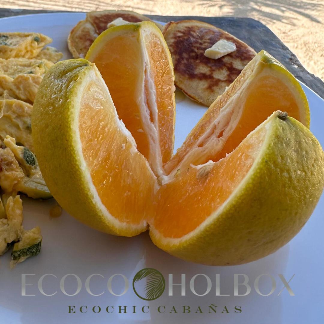 Ecoco Holbox - Ecochic - Cabanas De Madera - Holbox Retreat Eksteriør billede